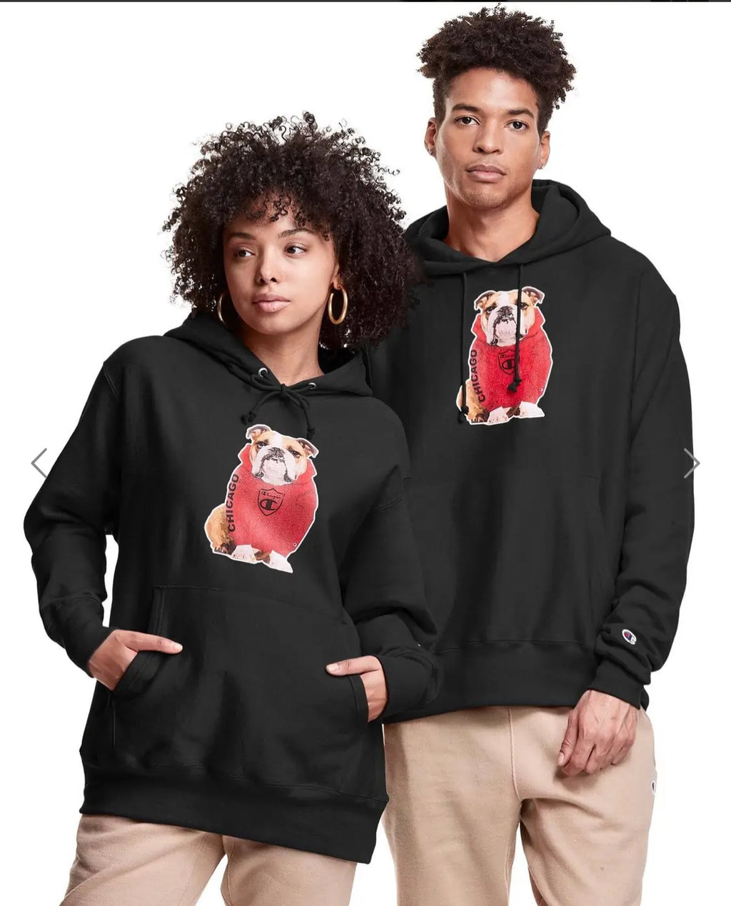 Champion heavyweight hoodie