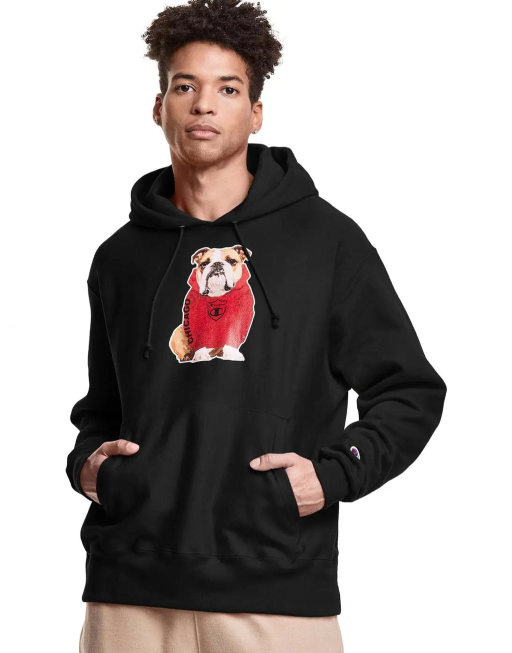 Champion heavyweight hoodie